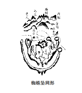 名人图片档2346.png