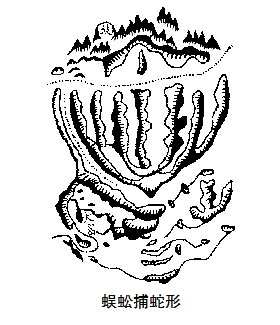 名人图片档2143.png