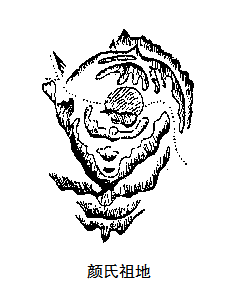 名人图片档2915.png