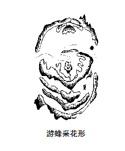 名人图片档2601.png