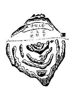 名人图片档4767.png